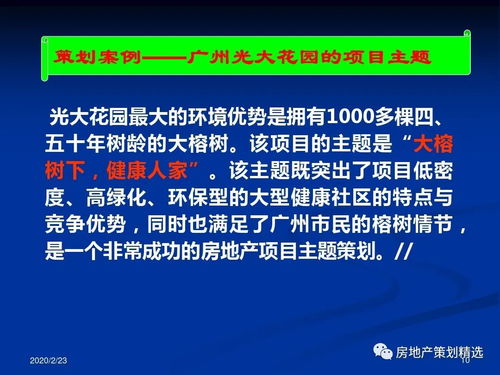 房地產(chǎn)項目主題策劃與公關(guān)服務整合方案